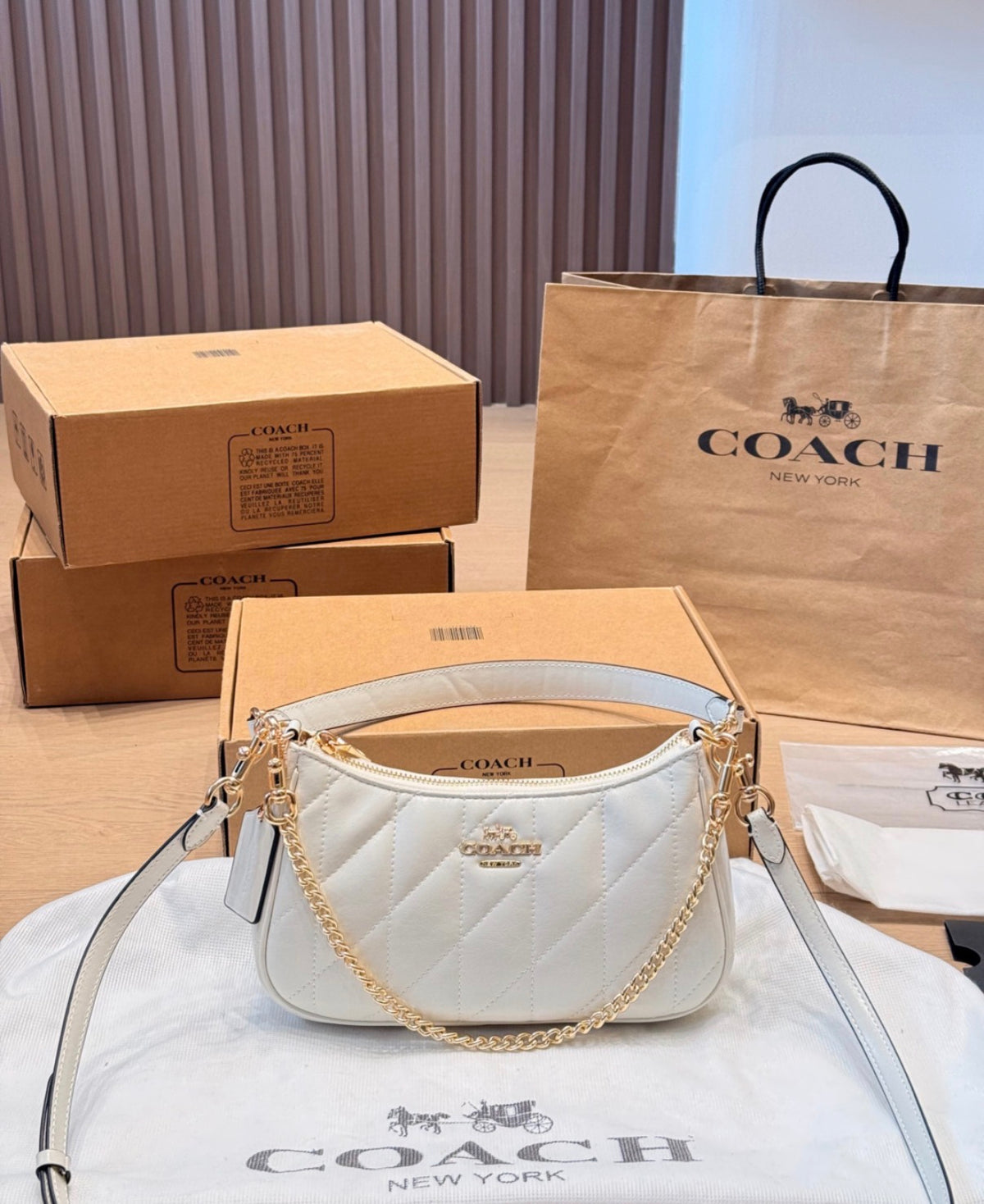 Coach Teri Shoulder Bag With Signature Quilting (Chalk / White)