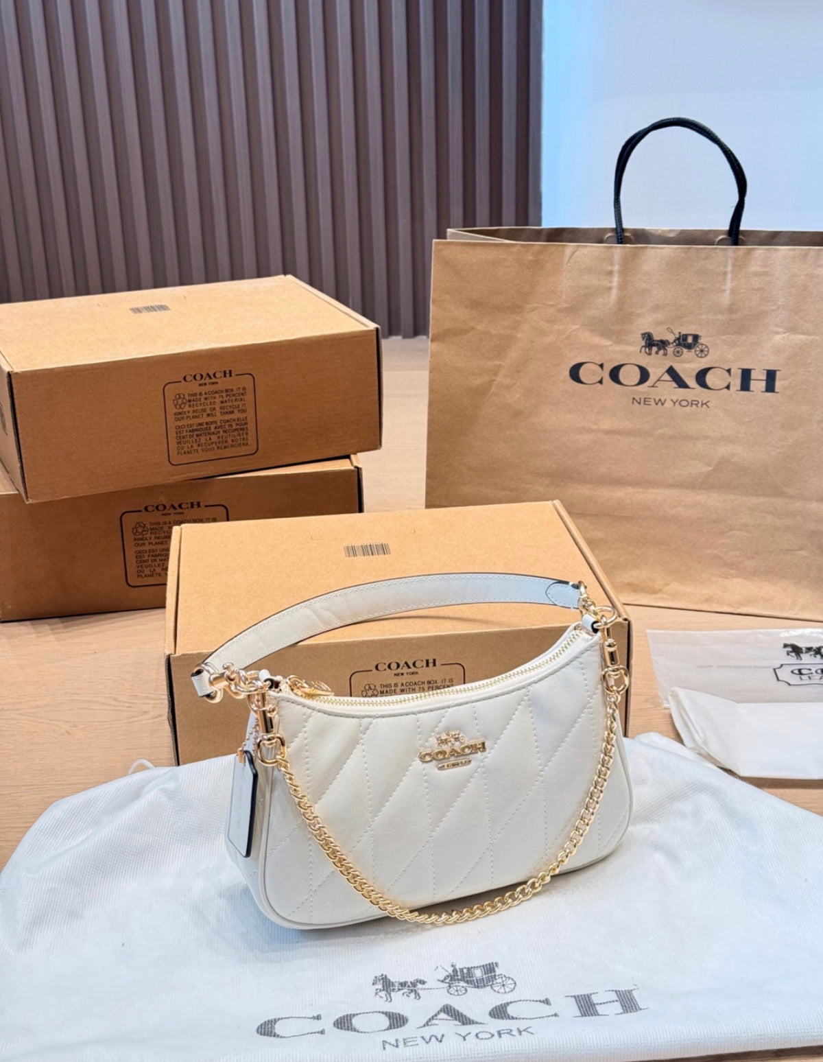 Coach Teri Shoulder Bag With Signature Quilting (Chalk / White)